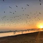 Algarve Mor 3 ポルティマン