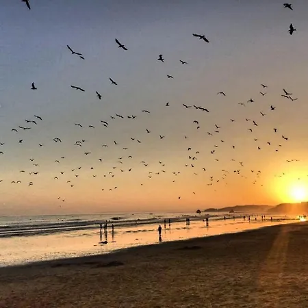 Algarve Mor 3 波尔蒂芒